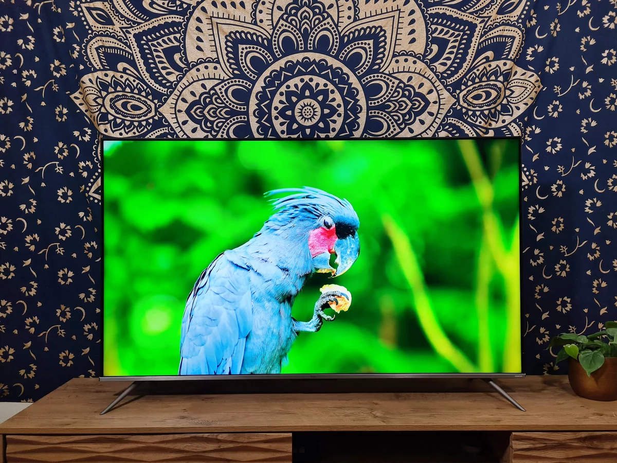 Test TCL 55C635 © Matthieu Legouge