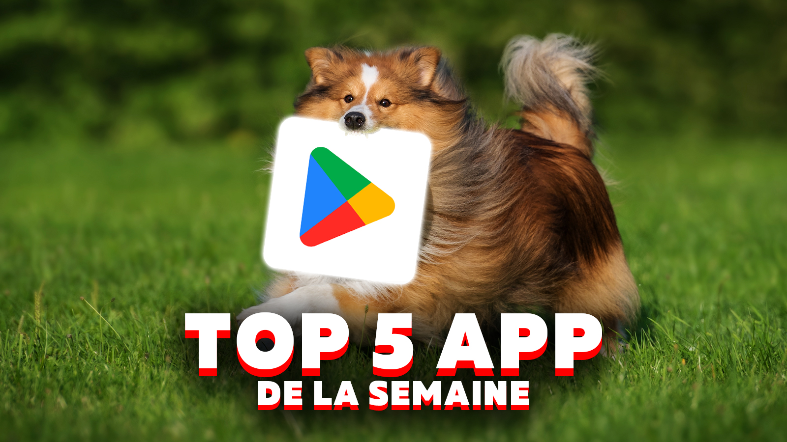 Le Top 5 des applications mobiles à essayer d'urgence ce week-end !