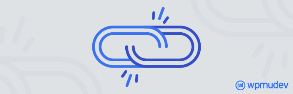 Broken link checker wp screen