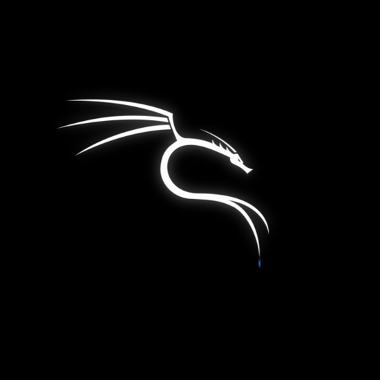 Kali Linux