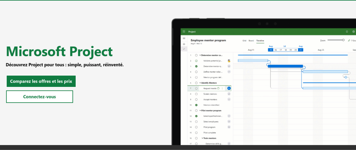 microsoft project