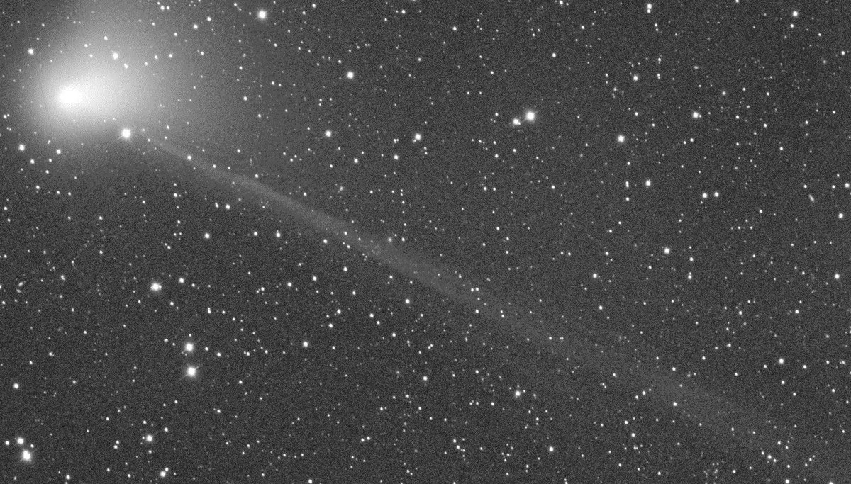 La comète C/2022 E3 observée en ce début janvier par l'astrophotographe autrichien Michael Jäger (twitter @Komet123Jager)