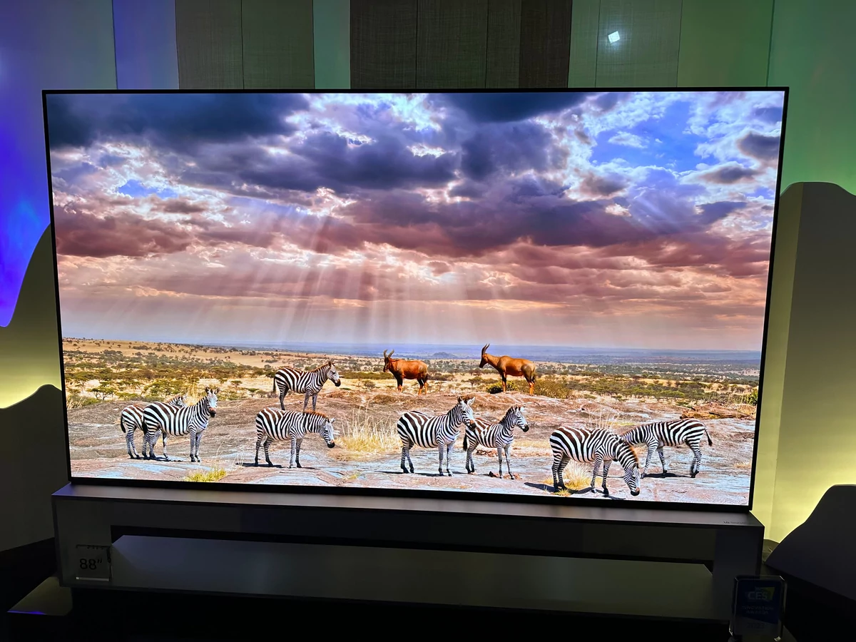 LG OLED M3 © Colin Golberg