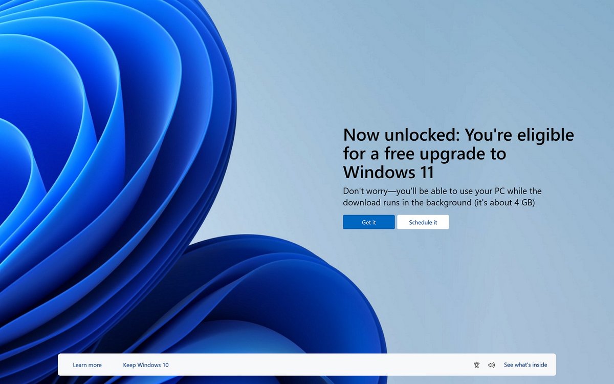 Windows 11 © © Windows Latest