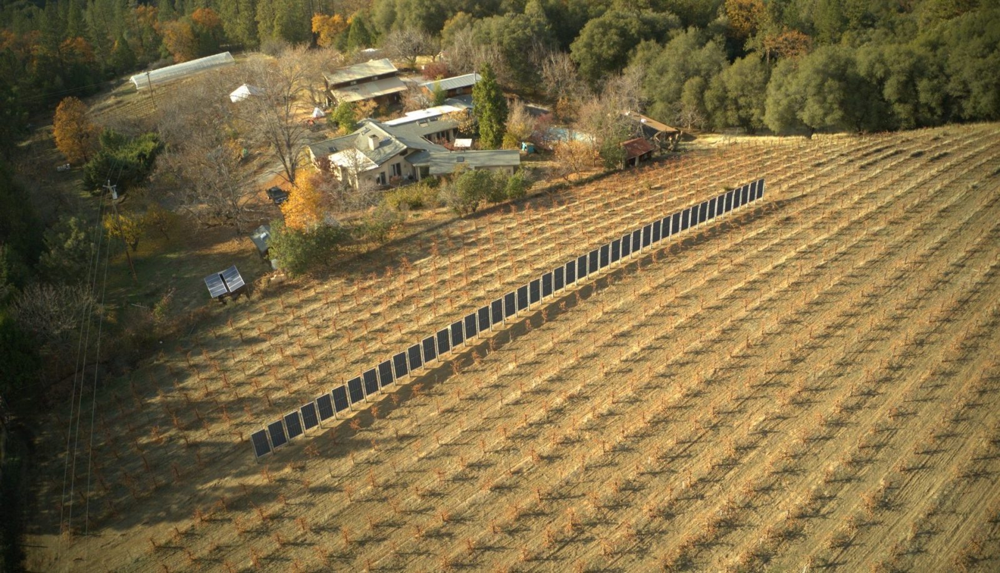 Conçus pour cohabiter avec l'agriculteur, ces panneaux solaires verticaux pourraient conquérir nos champs