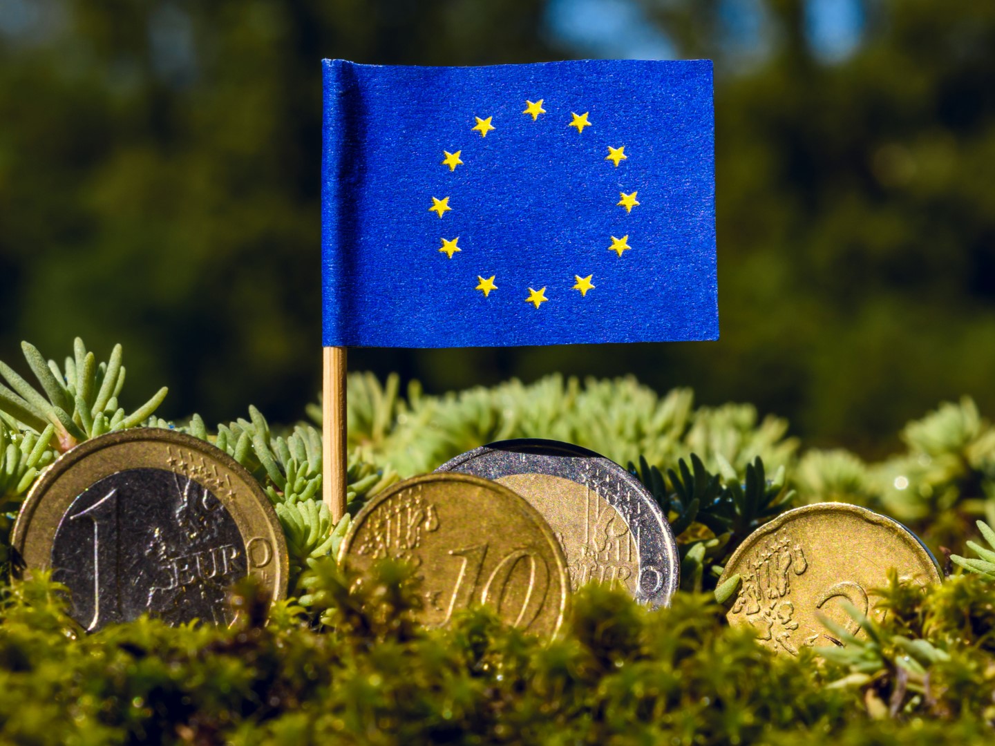 L'Union européenne va verser des milliards d'euros à ses champions technologiques