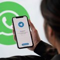 Piétinée par le boss de WhatsApp, Telegram rétablit la vérité sur la sécurité de son app