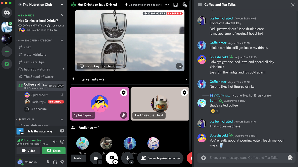 Discord salon de conférence amélioré vidéo © Discord