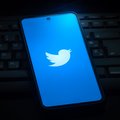 Twitter : se censurer ou disparaitre ? La question est vite traitée…