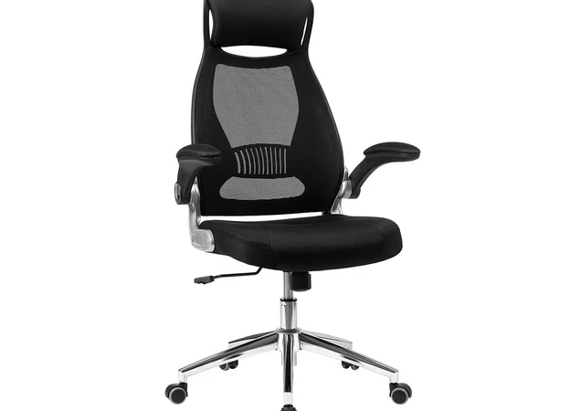 Chaise de bureau Songmics OBN86BK