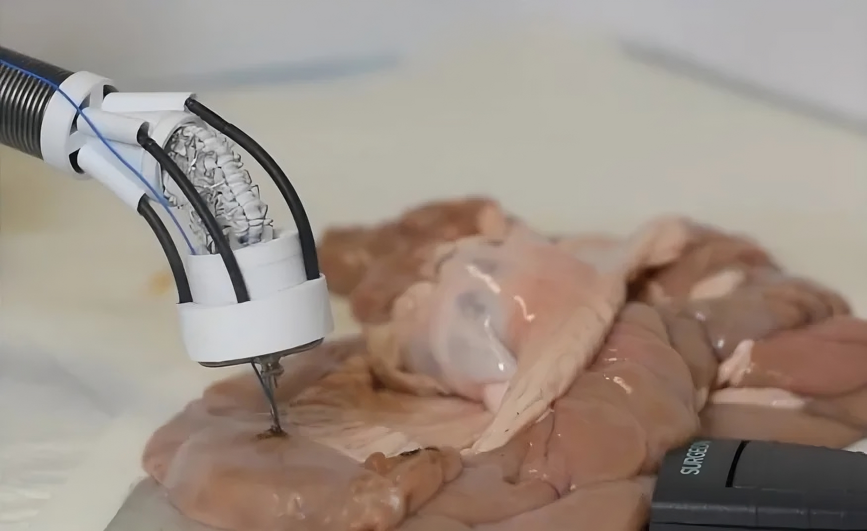 Santé : cette mini-imprimante 3D pourrait bien vous réparer de l'intérieur d'ici une dizaine d'années