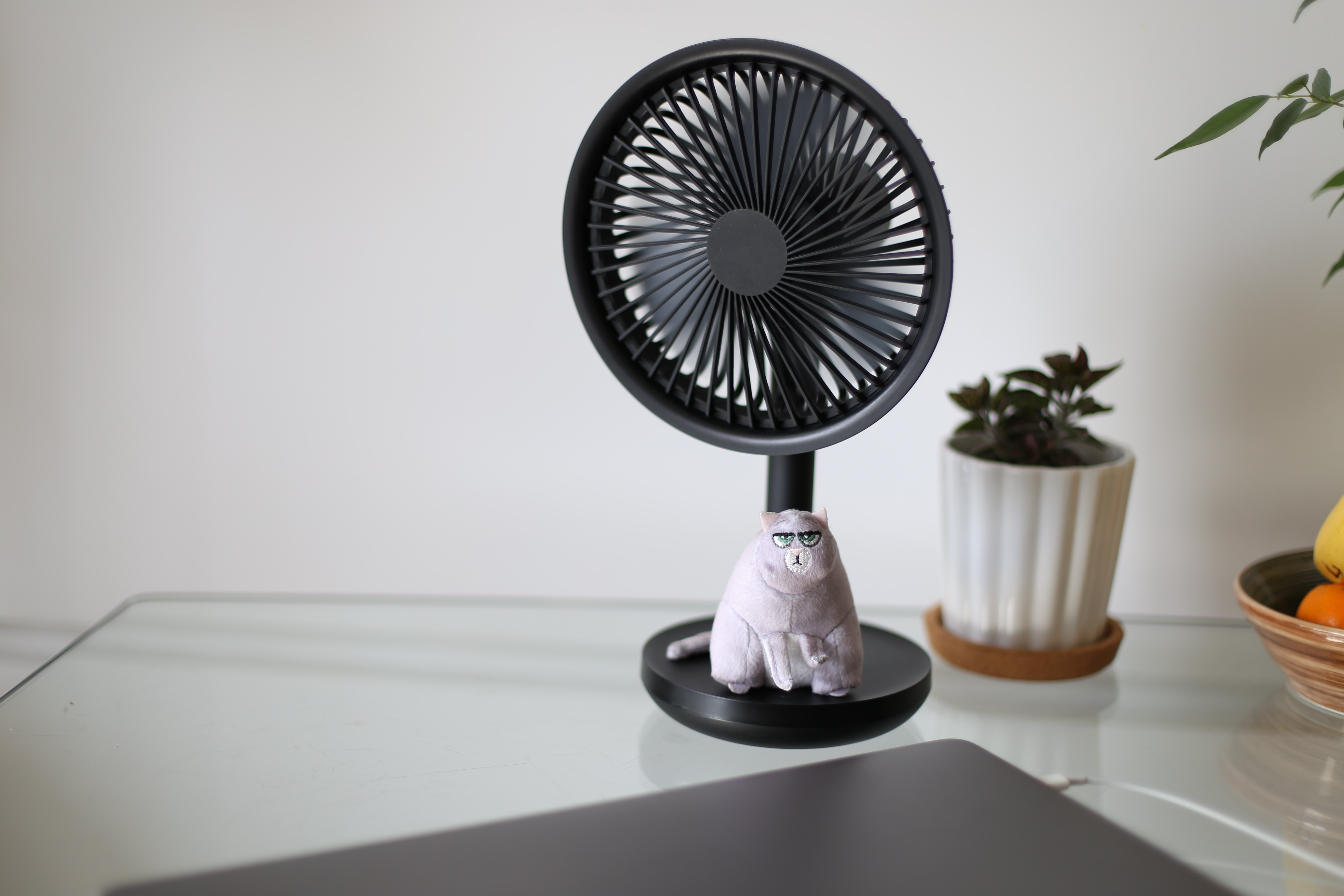 💥 Meilleurs ventilateurs de bureau 2024 - guide d'achat et comparatif