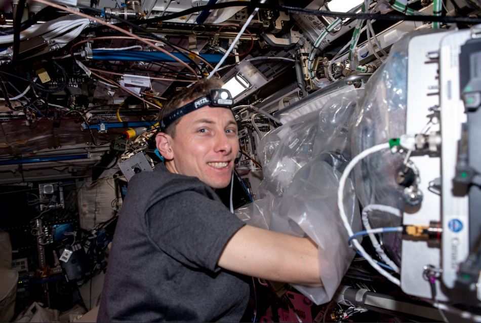 L&#039;astronaute Warren Hoburg travaille à l&#039;impression 3D de cartilage avec la &quot;biofabrication facility&quot;, fin mars © NASA