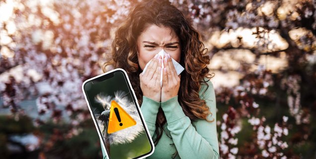 Allergies au pollen : les meilleures applications pour s’en protéger ce printemps 2024