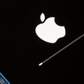 Apple : ventes des iPhone en hausse, celles des Mac en baisse... que retenir du dernier trimestre de la marque à la pomme ?