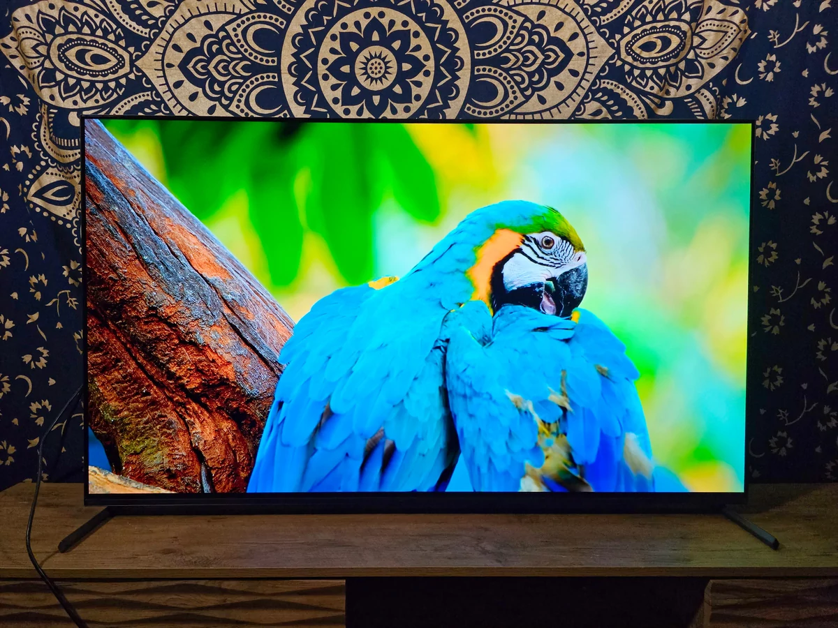 Test Sony Bravia XR-55A80L © Matthieu Legouge