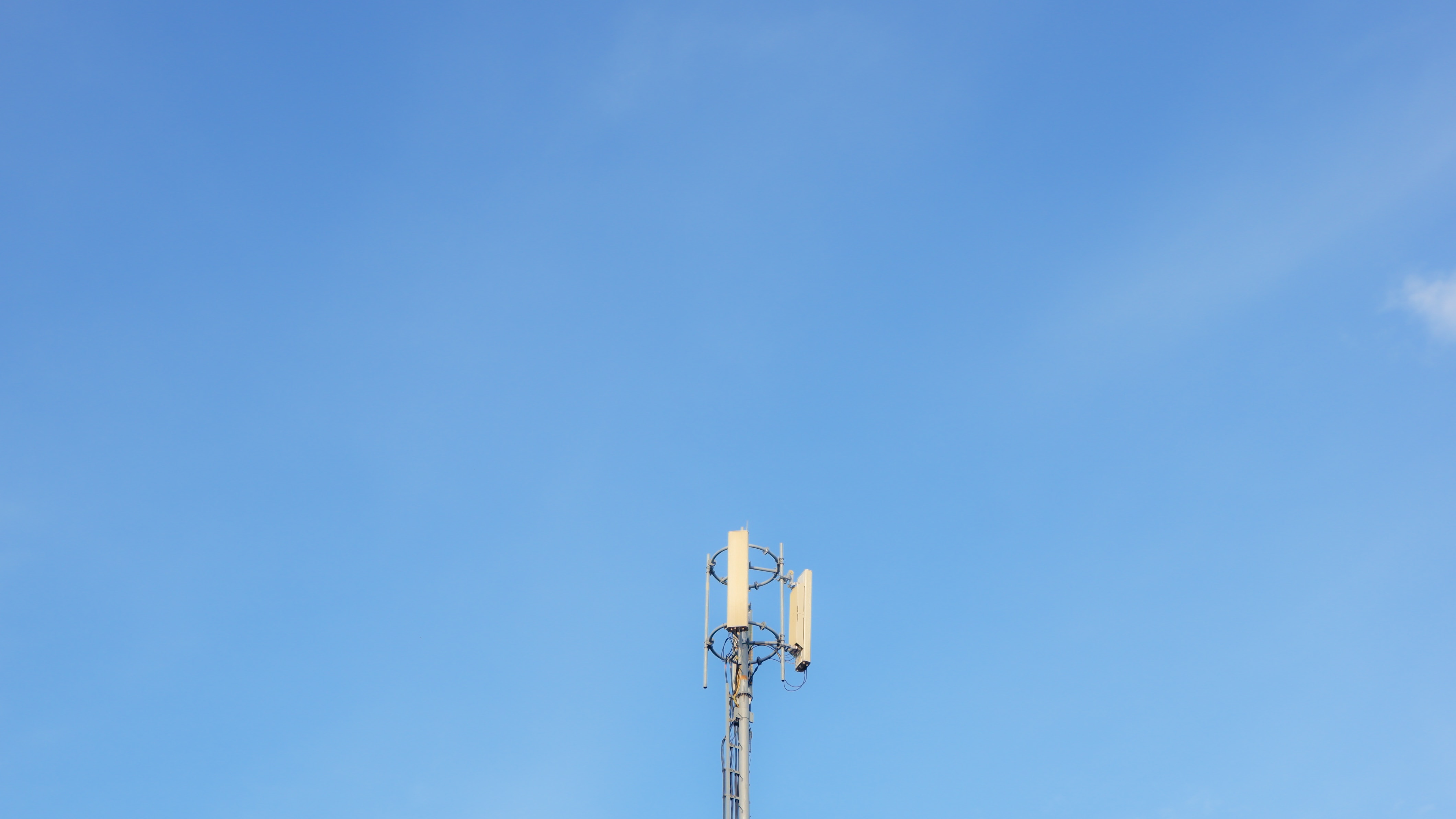 La Vierge, côte à côte avec une antenne Free Mobile ? Les élus s'en offusquent