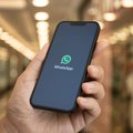 Appels indésirables et spams WhatsApp : bientôt une solution ?
