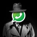 Non, WhatsApp ne vous espionne pas, c'est un bug !
