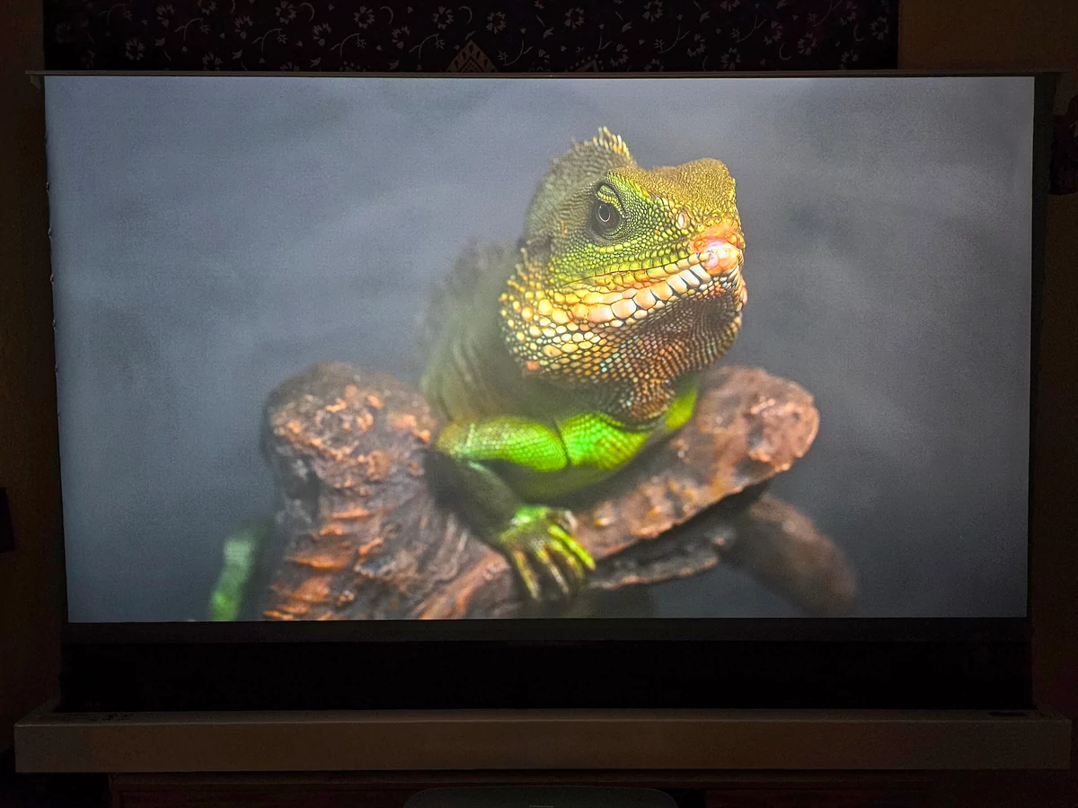 Test Hisense PL1 © Matthieu Legouge