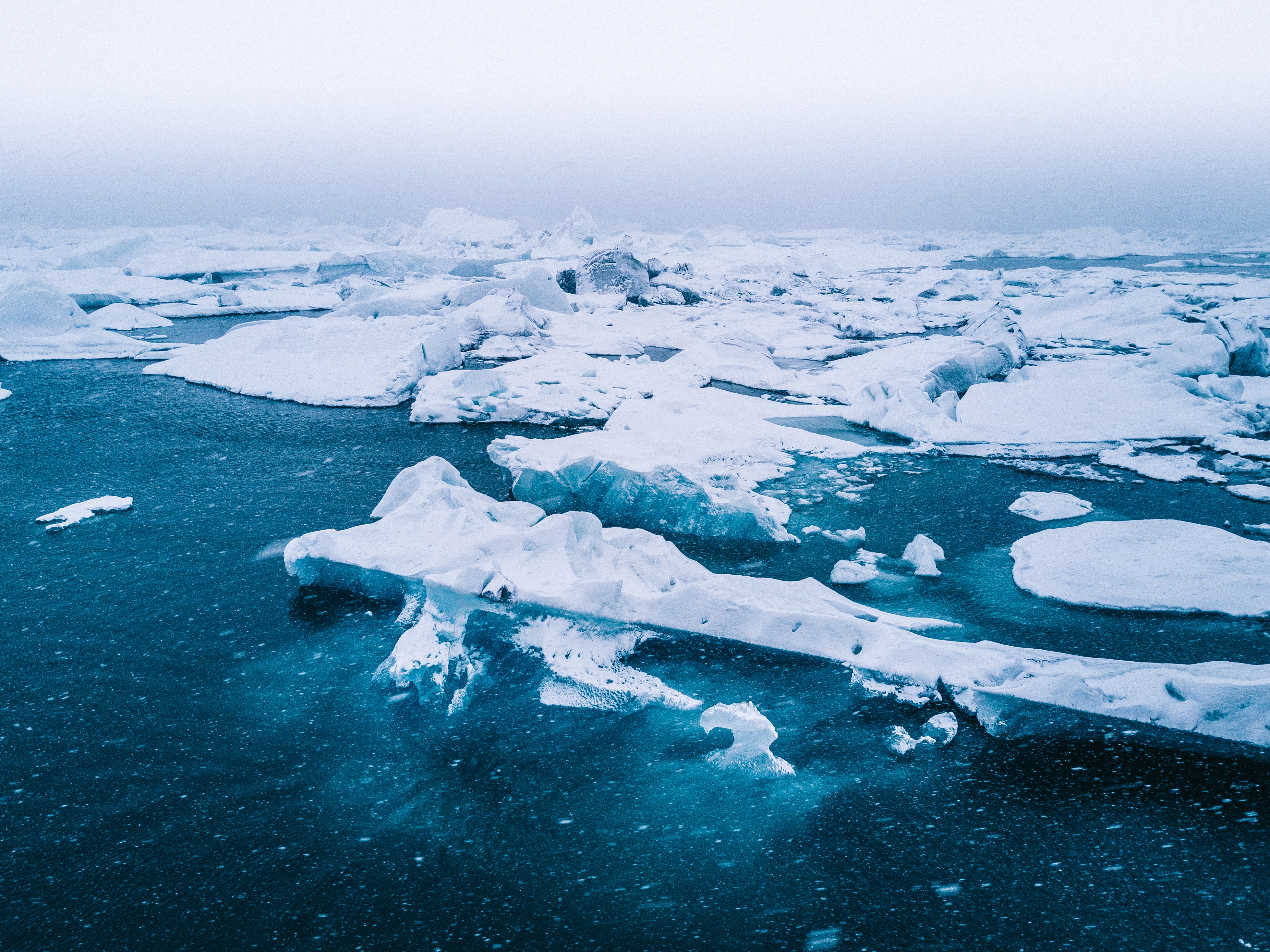 Il est trop tard pour sauver la banquise estivale en Arctique et les répercussions vont être littéralement catastrophiques