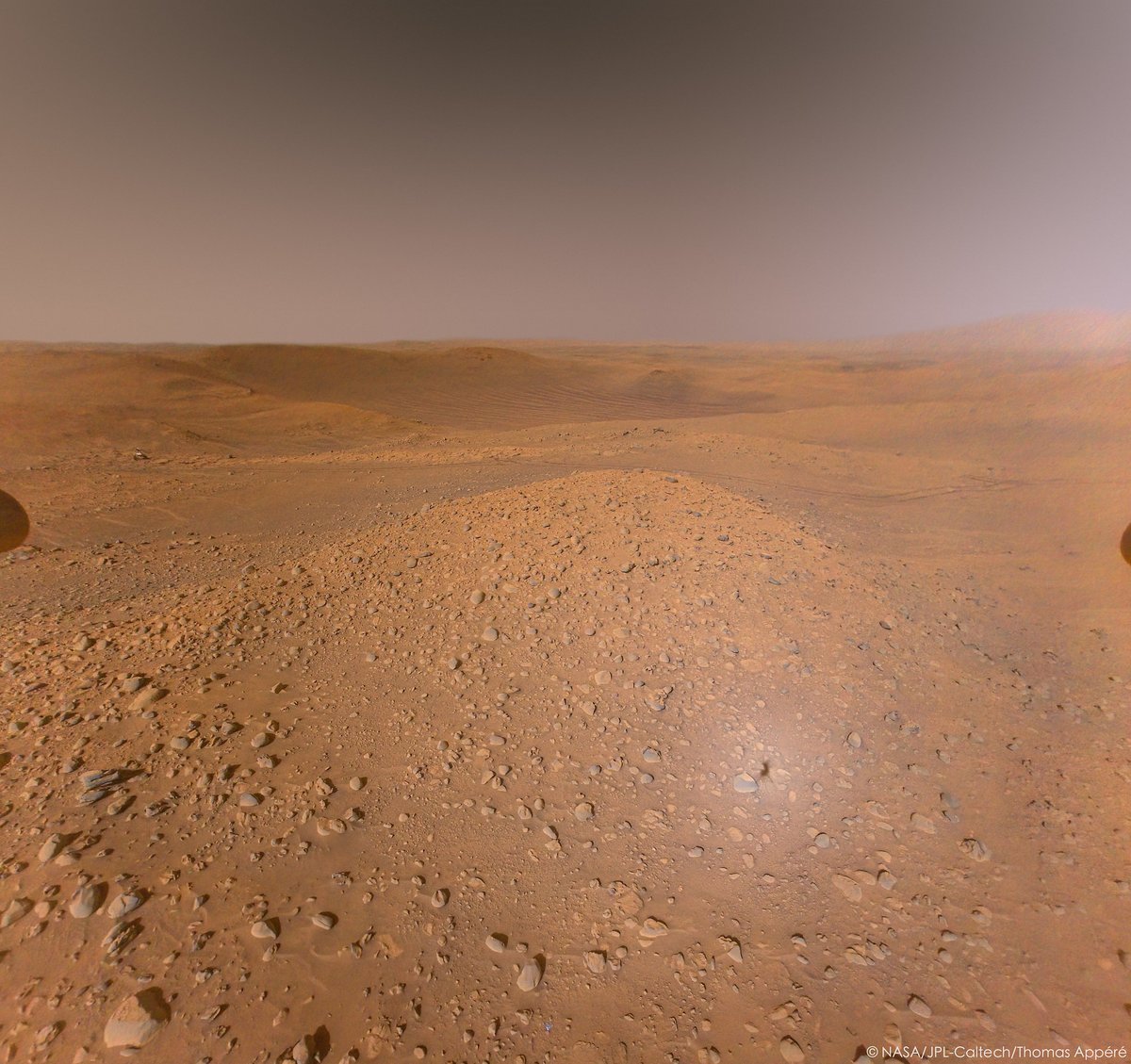 Ingenuity a révélé la surface de Mars avec un point de vue inédit. Et même photographié Perseverance ! © NASA/JPL-Caltech/Thomas Appere