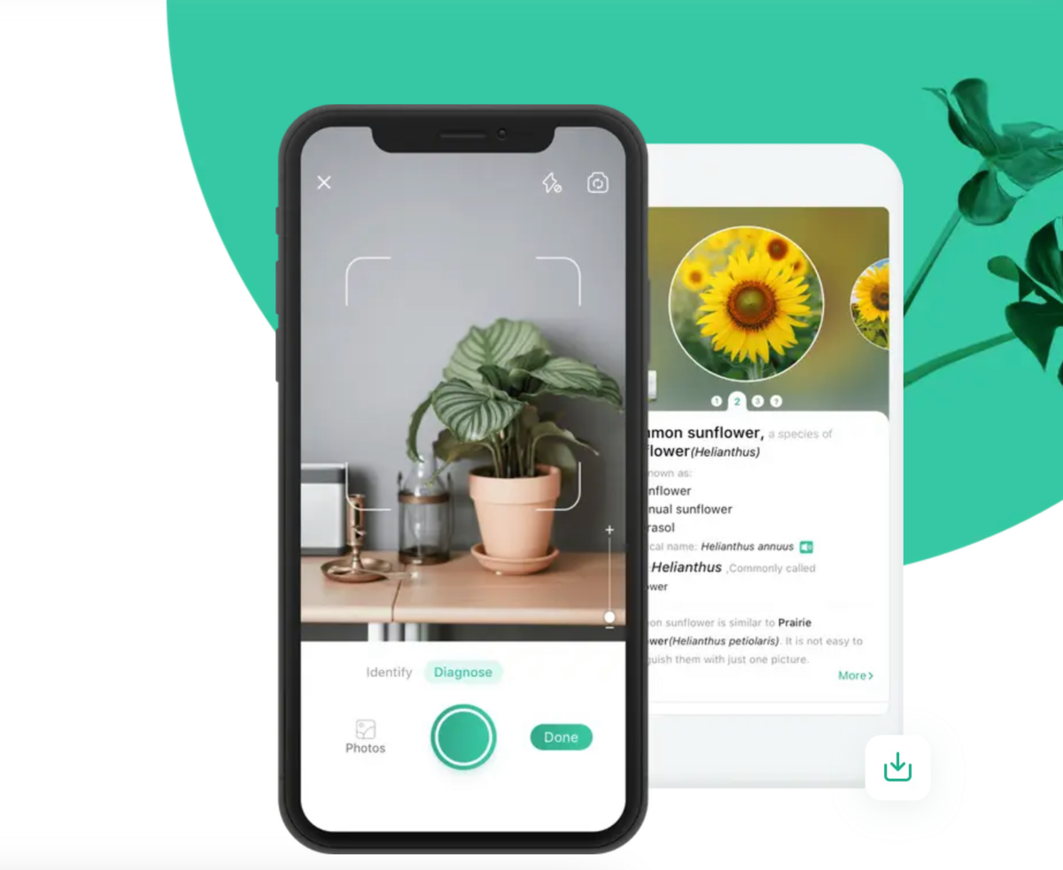 PictureThis app screenshot global
