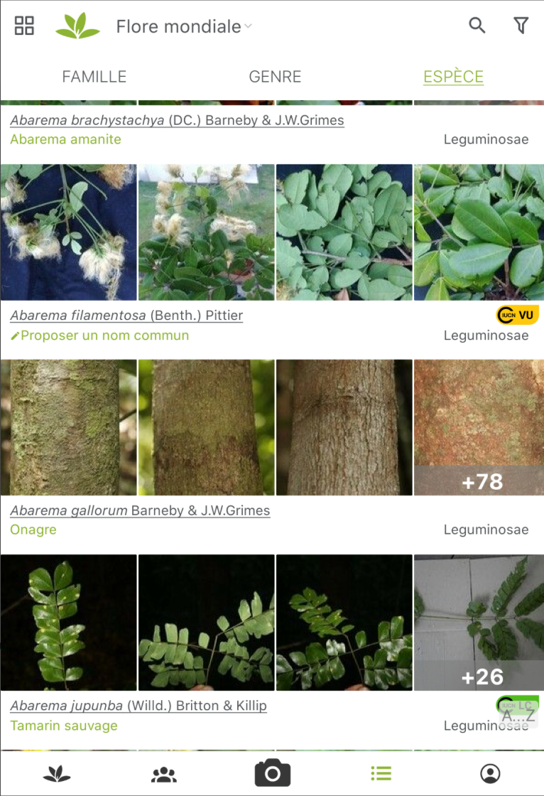 PlantNet screenshot 2