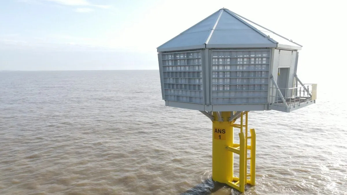 Des nids artificiels géants près des éoliennes en mer ? Voilà à quoi ça ressemble