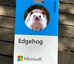Microsoft Edge a une nouvelle mascotte, devinez ce que c'est ?