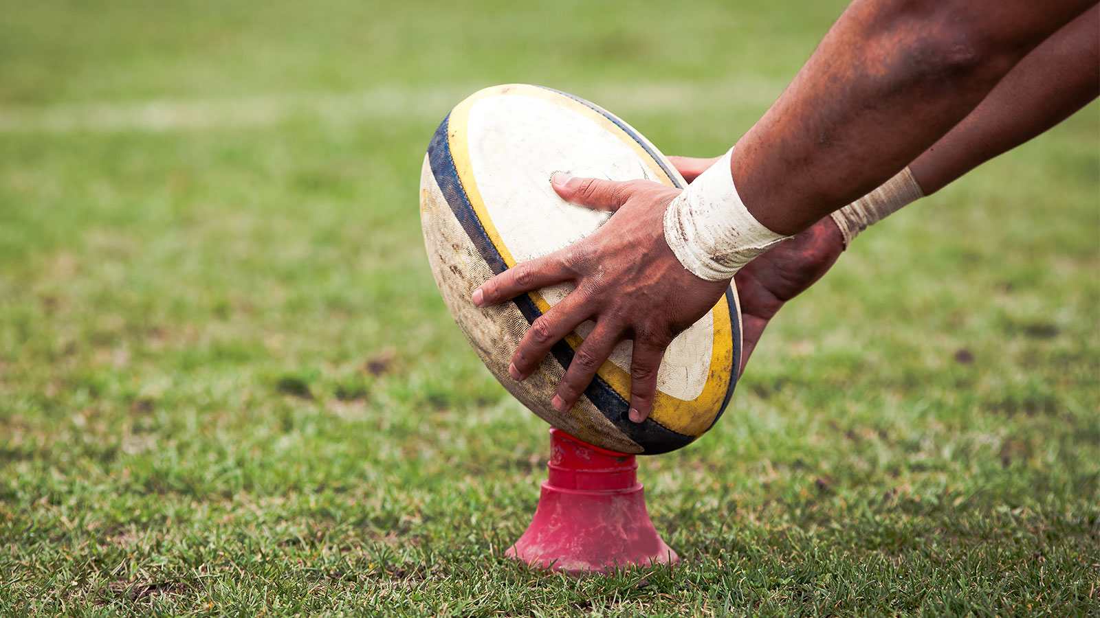 L'IA connait le vainqueur de la coupe du monde de Rugby (et ça ne va pas vous plaire)