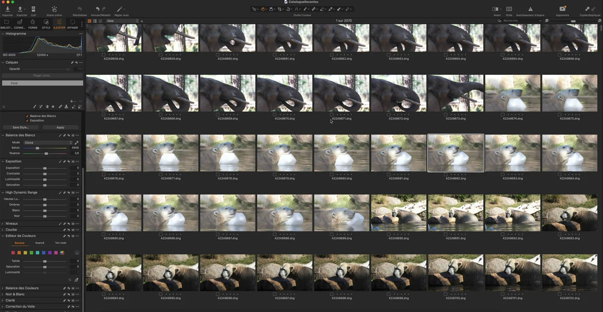 capture one catalogue