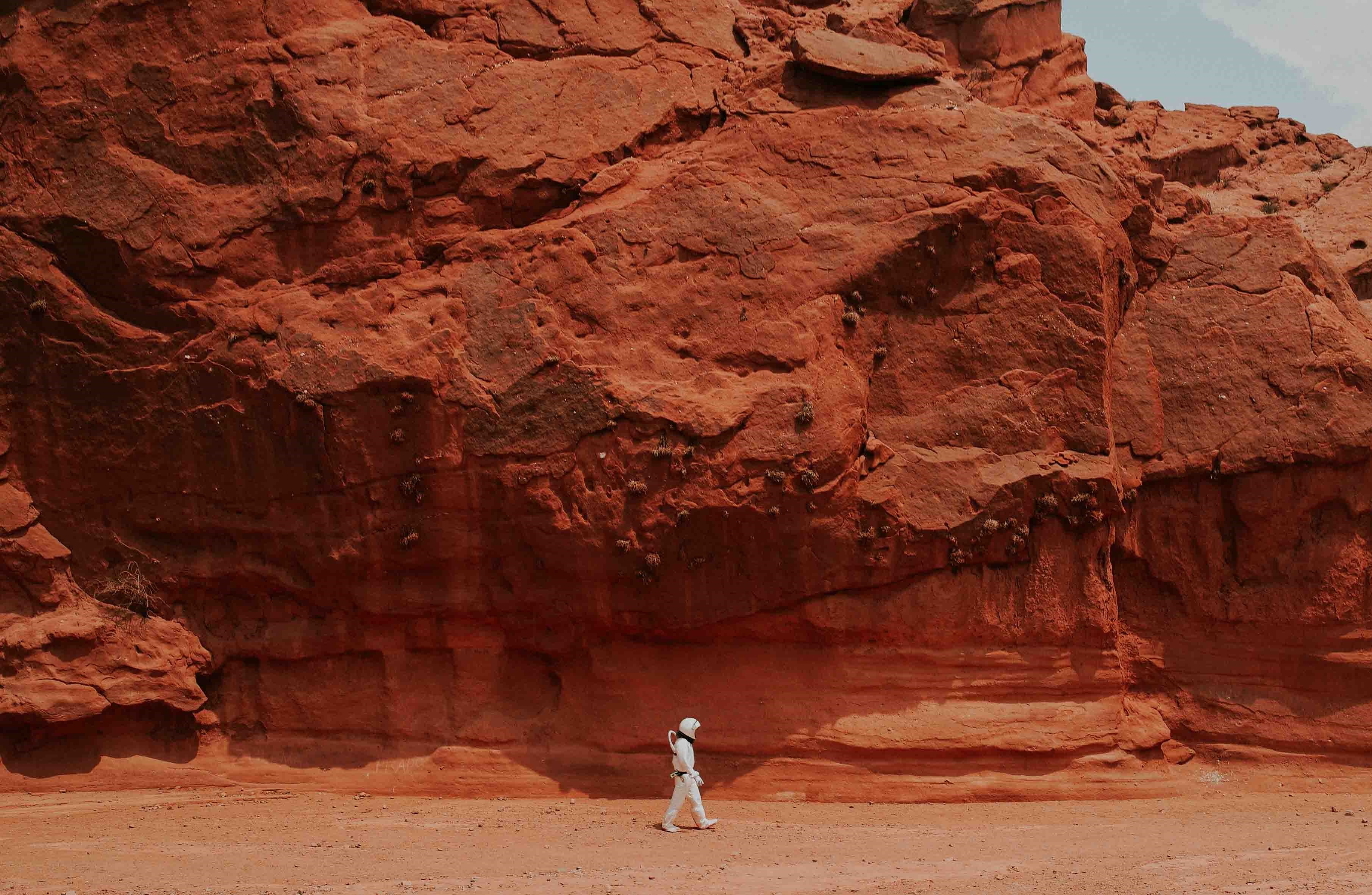 Combien de personnes faudrait-il pour coloniser Mars ? Cette étude américaine nous donne la réponse