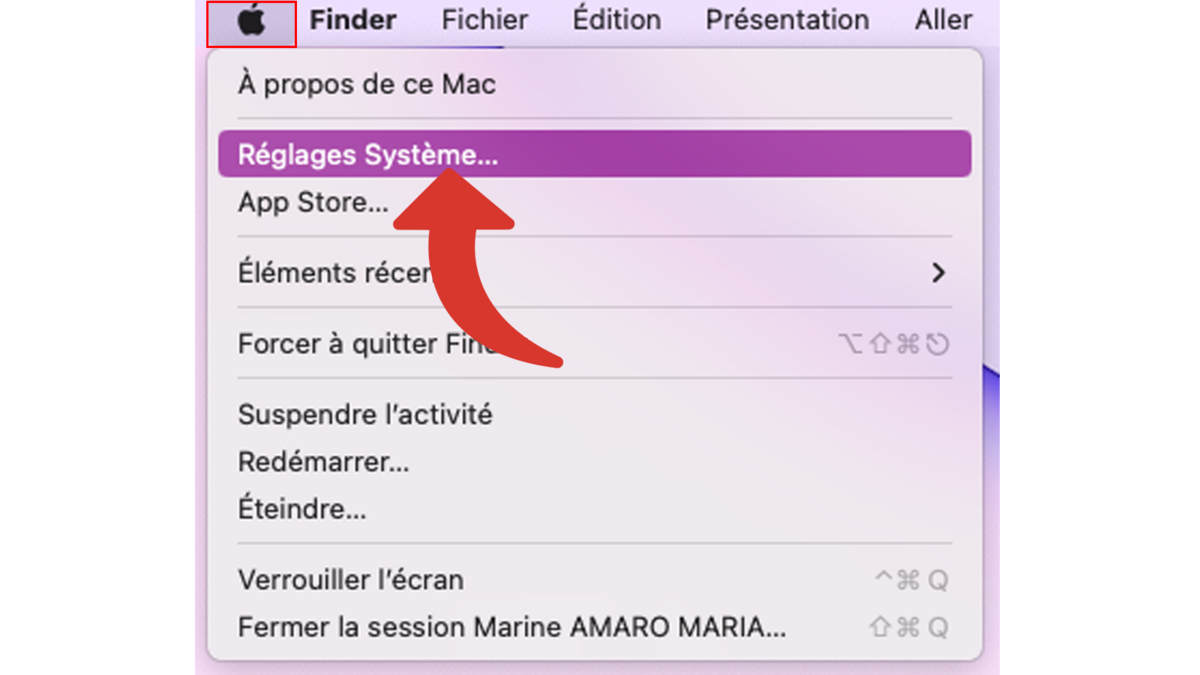 Mac allez dans pomme > Réglages Système