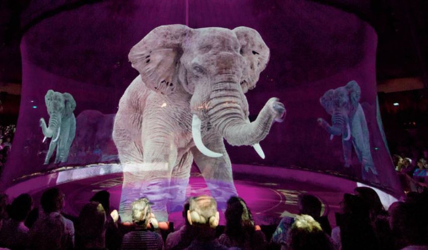 Face à l'interdiction de leur exploitation dans les cirques, des animaux sauvages en hologrammes entrent en piste. Une réussite ?