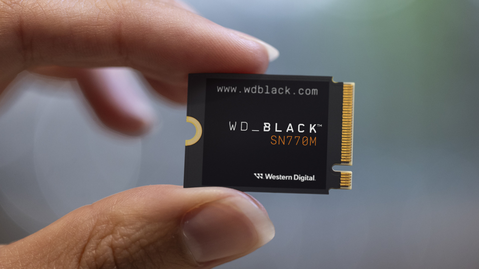 Western Digital : des disques SSD pour augmenter la capacité de votre Steam Deck