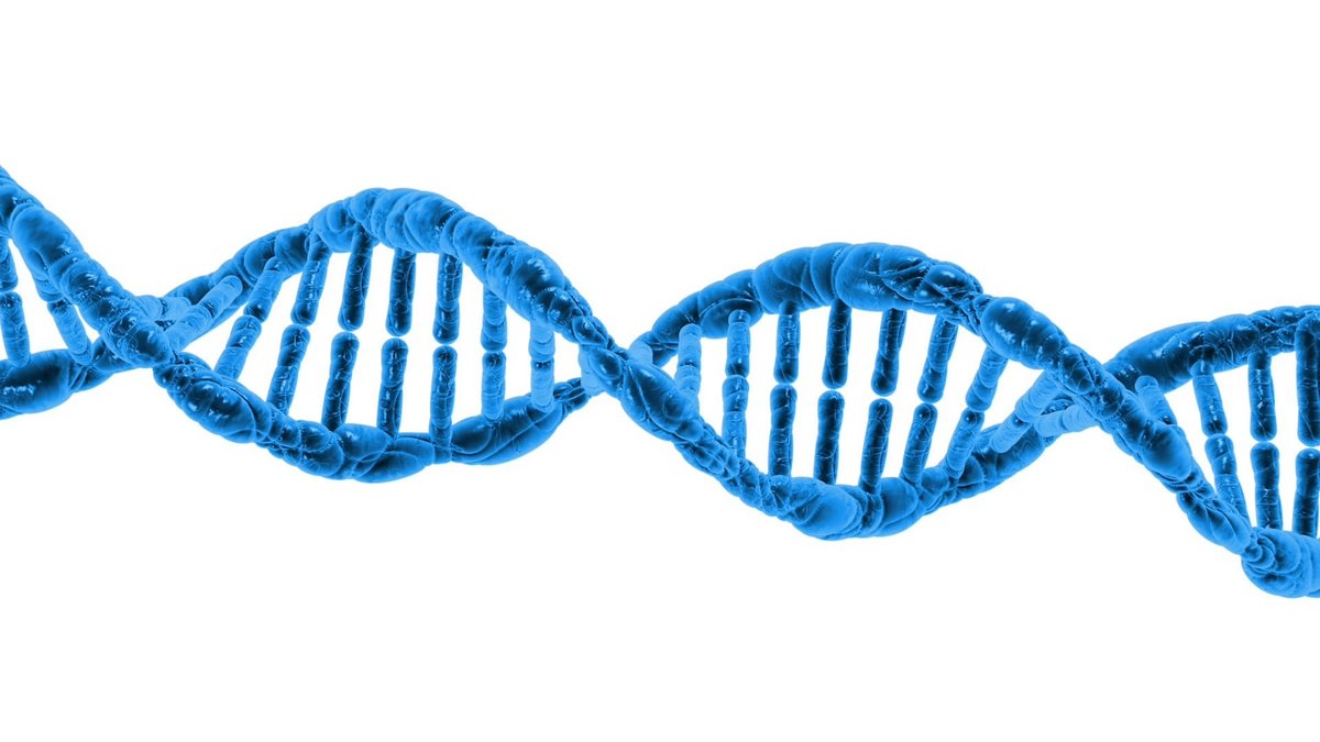 Une carte capable de convertir des données binaires en ADN © PublicDomainPictures / Pixabay