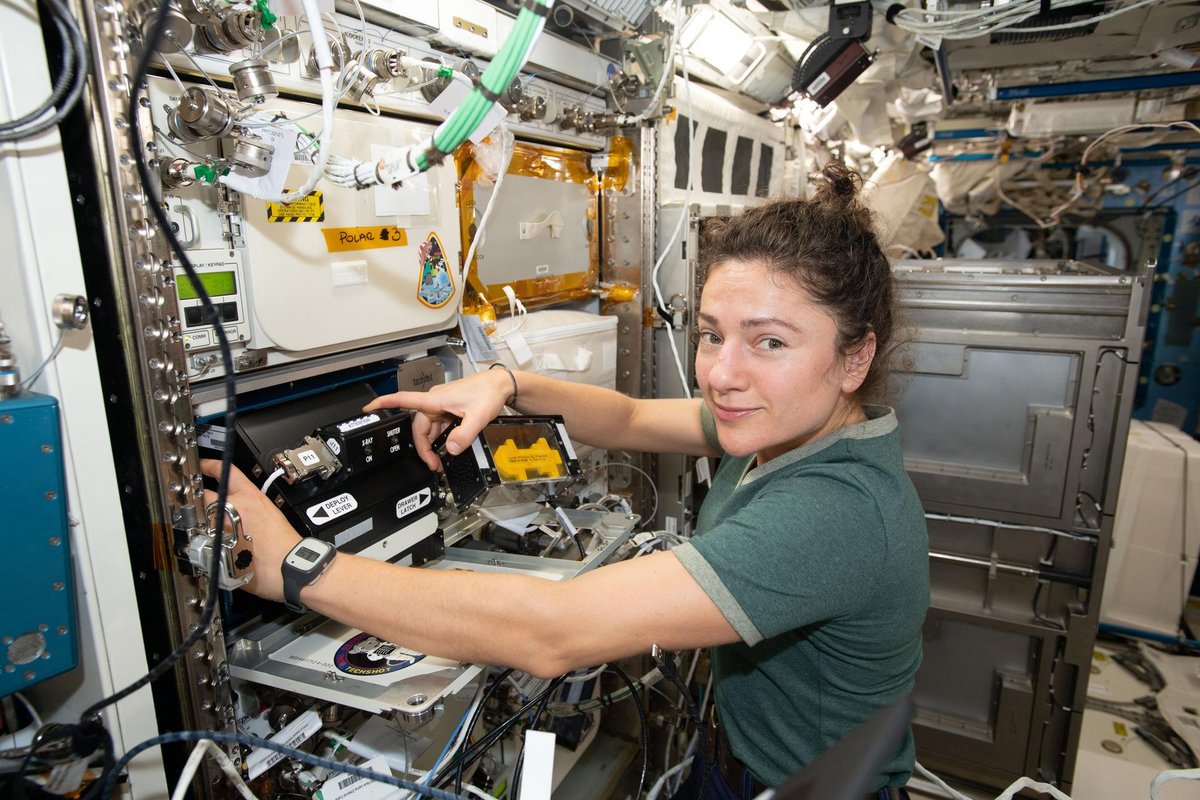 L'astronaute américaine Jessica Meir travaille au sein de l'ISS sur une expérience mesurant la perte de densité osseuse sur des souris (le processus est plus rapide chez elles que chez les humains) © NASA