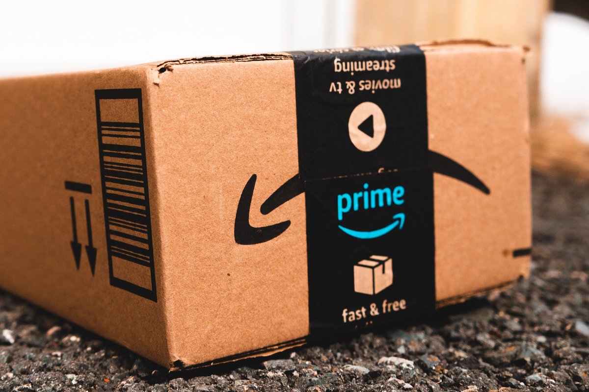 Nessie a permis à Amazon d'augmenter ses prix sans prendre trop de risques © Erik Mkclean / Pexels