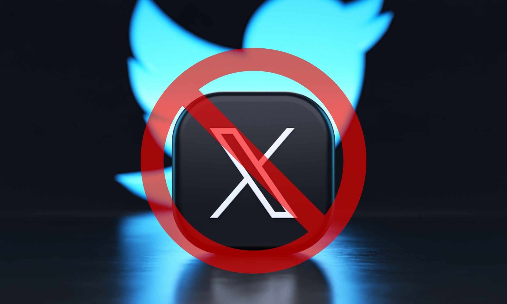 #NoTwitterDay : pour le premier anniversaire du rachat de X/Twitter, un collectif français appelle au boycott de la plateforme