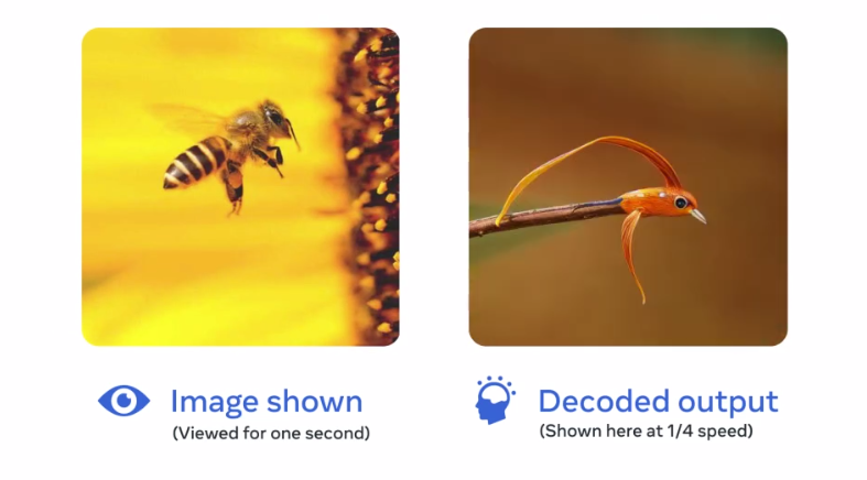 Meta MEG © Capture d'une des frames du processus de reconnaissance des images par MEG. A gauche l'image montrée aux volontaires, à droite l'image décryptée par le décodeur  © Meta