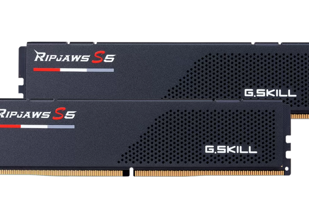 G.Skill Ripjaws S5 DDR5-5600 CL28 (32 Go)