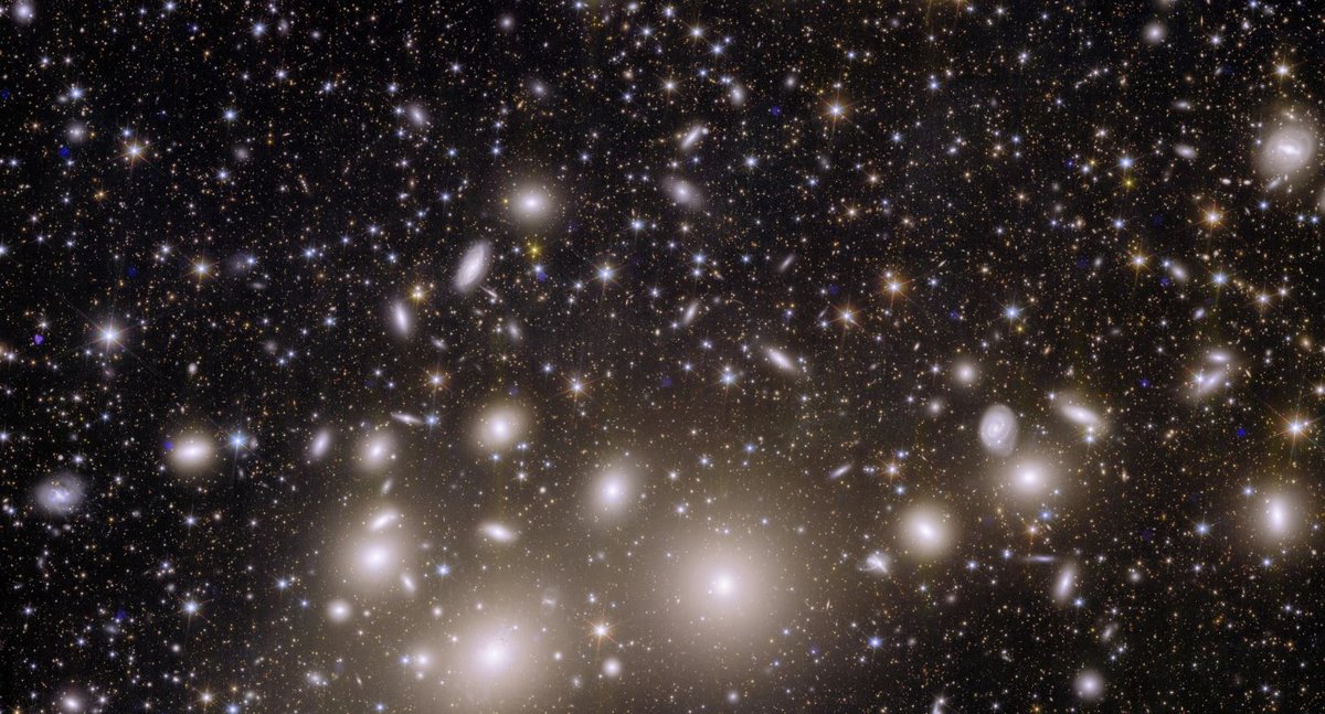 L'amas de galaxies de Persée... Vertigineux, non ? © ESA/Euclid Telescope
