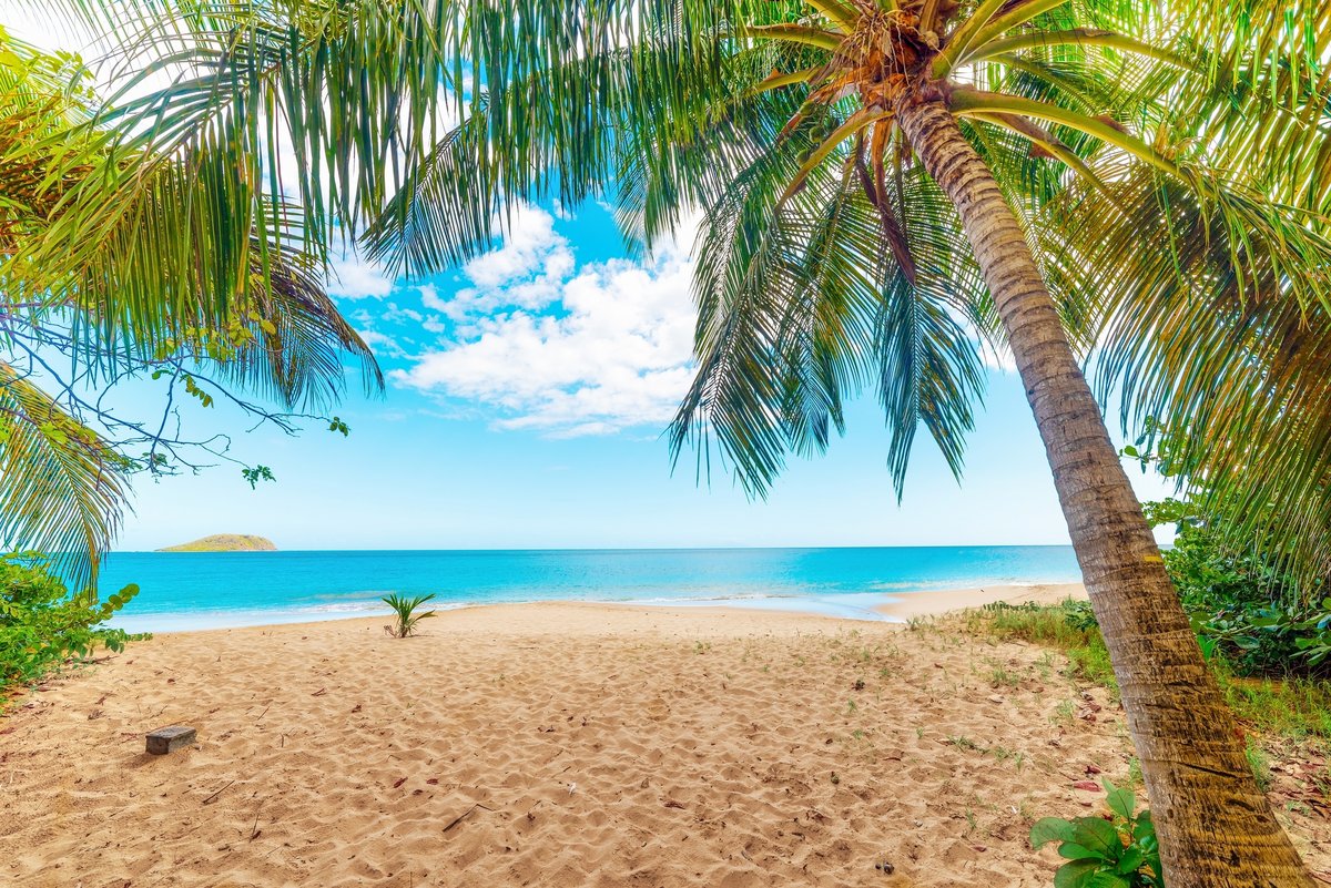 La plage de La Perle, en Guadeloupe © Gabriele Maltinti / Shutterstock)