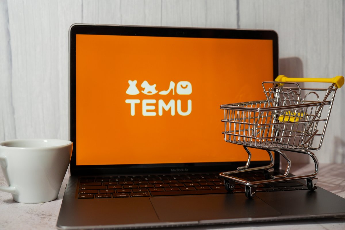 Logo Temu, sur ordinateur © yanishevska / Shutterstock.com