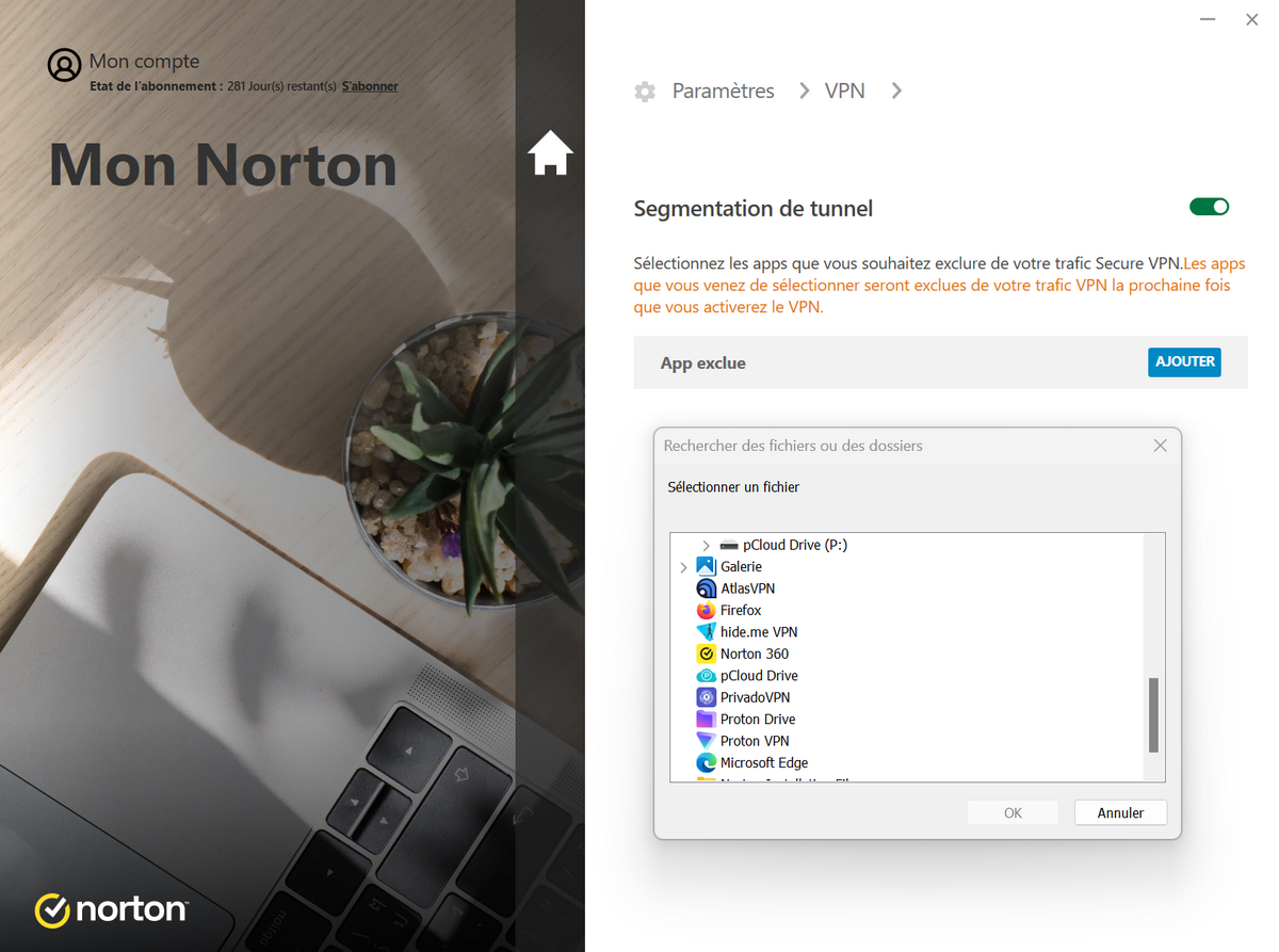 Segmentation de tunnel de Norton Secure VPN - ©Norton