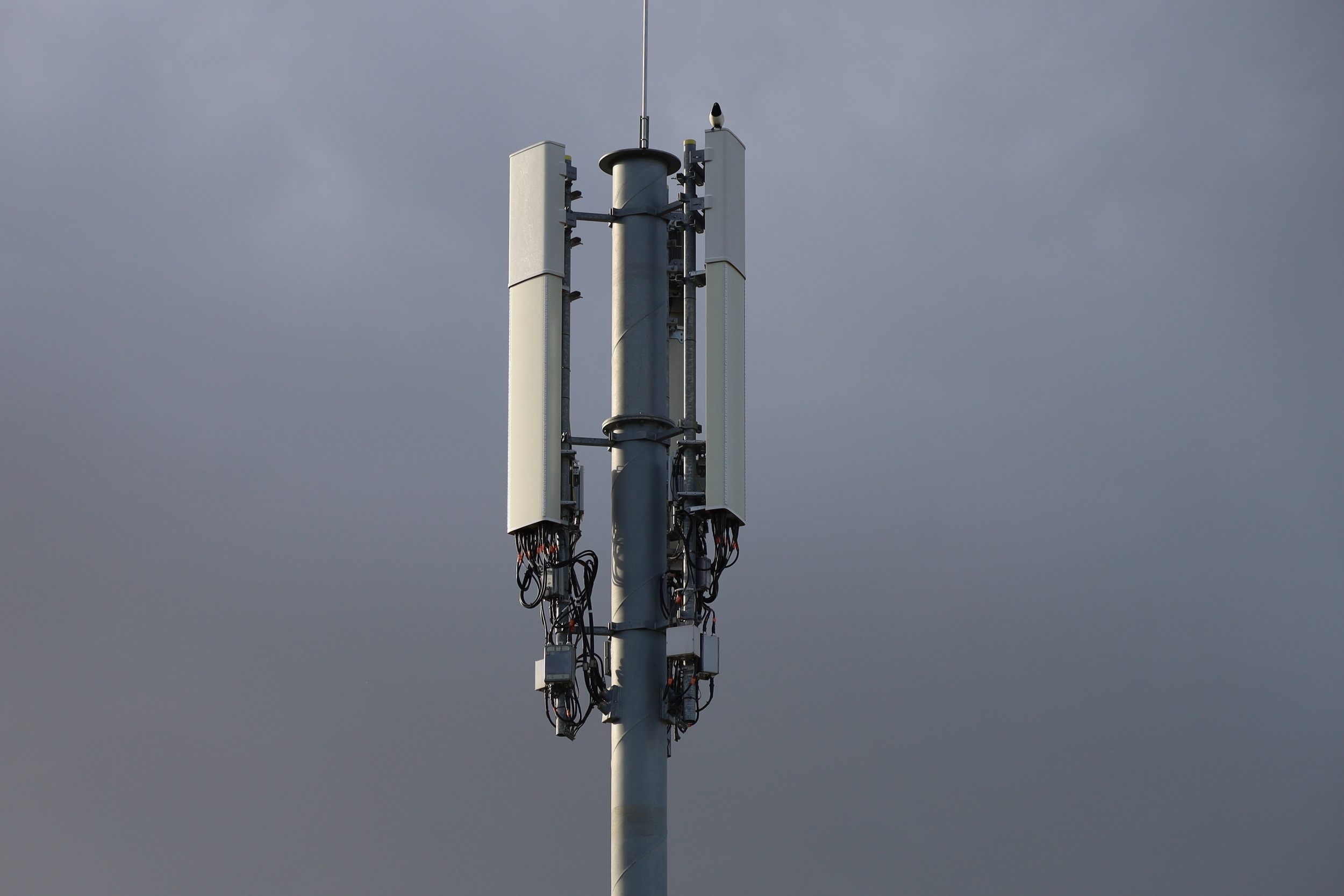 Le signal de l'antenne 4G d'un opérateur perturbé par un écran