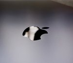 Apple corrige deux nouvelles failles de sécurité sur ses Mac, iPhone et iPad : c'est l'heure de la mise à jour !