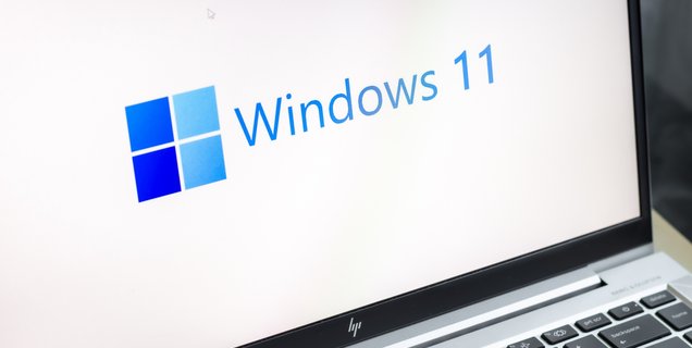 Tiny11 vous permet de créer un Windows 11 allégé avec n’importe quelle version de l’OS