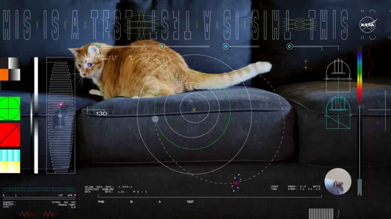 La sonde Psyché de la NASA teste une liaison laser avec la Terre... Et streame la vidéo d'un chat !
